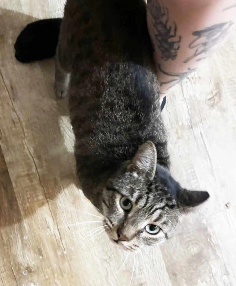 Vinny Robinson thumbnail 5