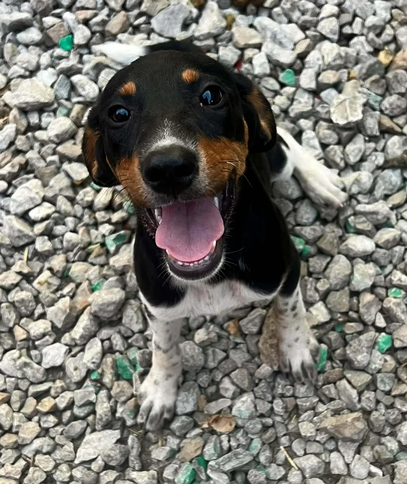 Tina