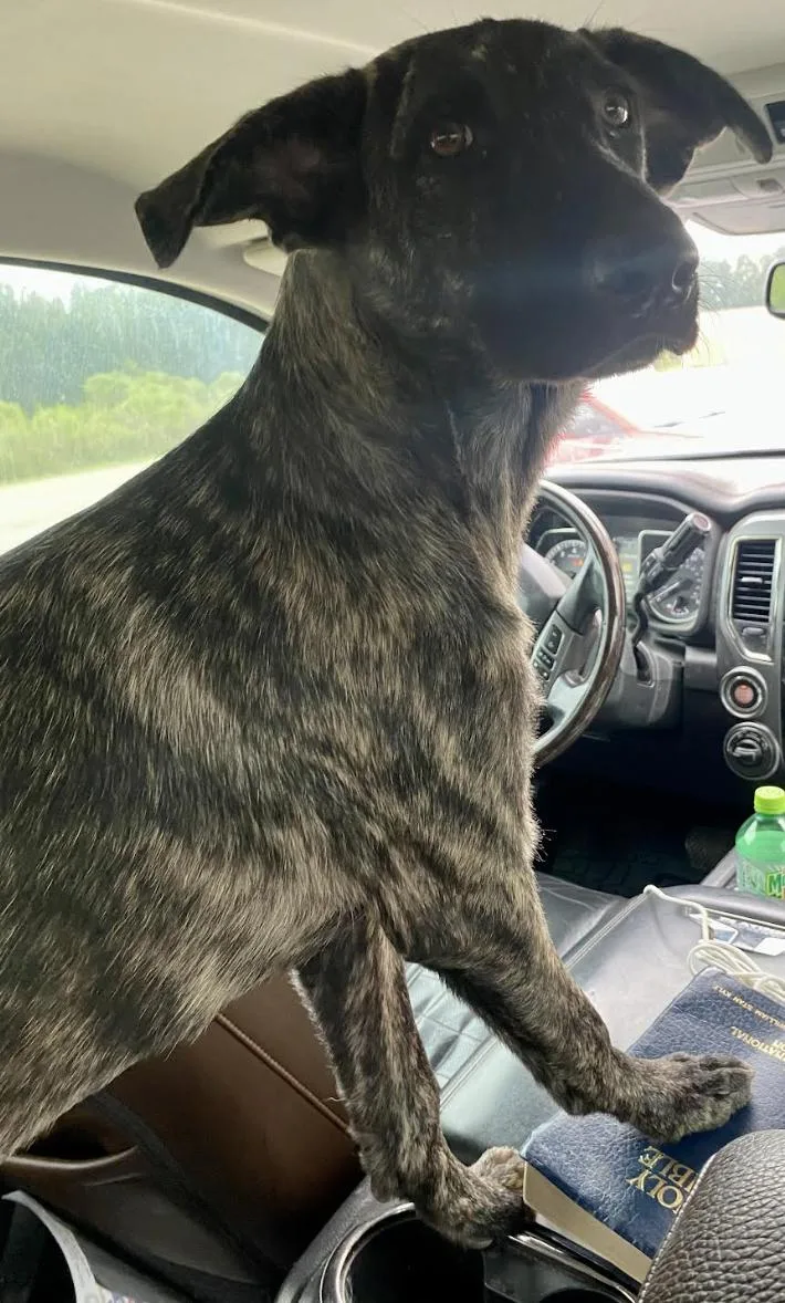 Dolly Parton thumbnail 2