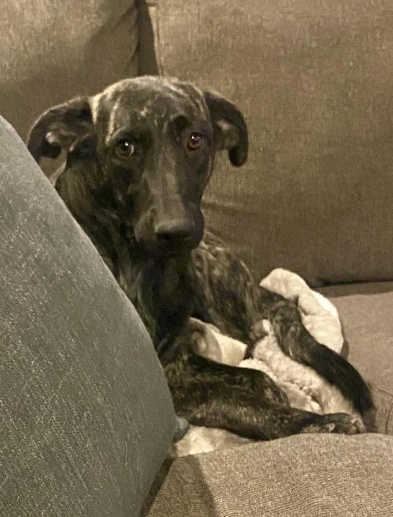 Dolly Parton thumbnail 3