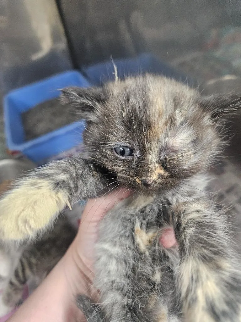 Winnie thumbnail 2