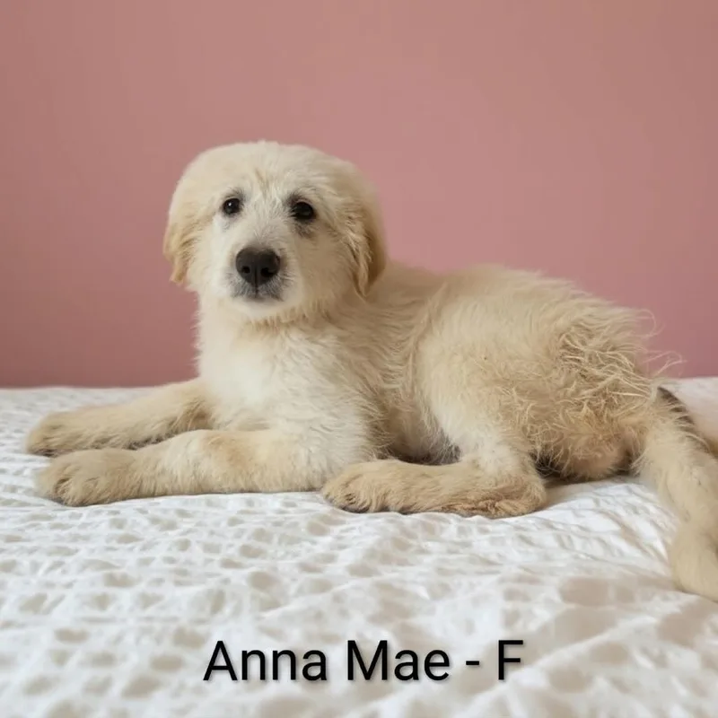 Anna Mae