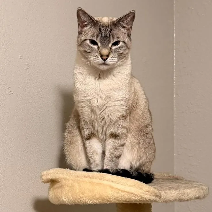Skye