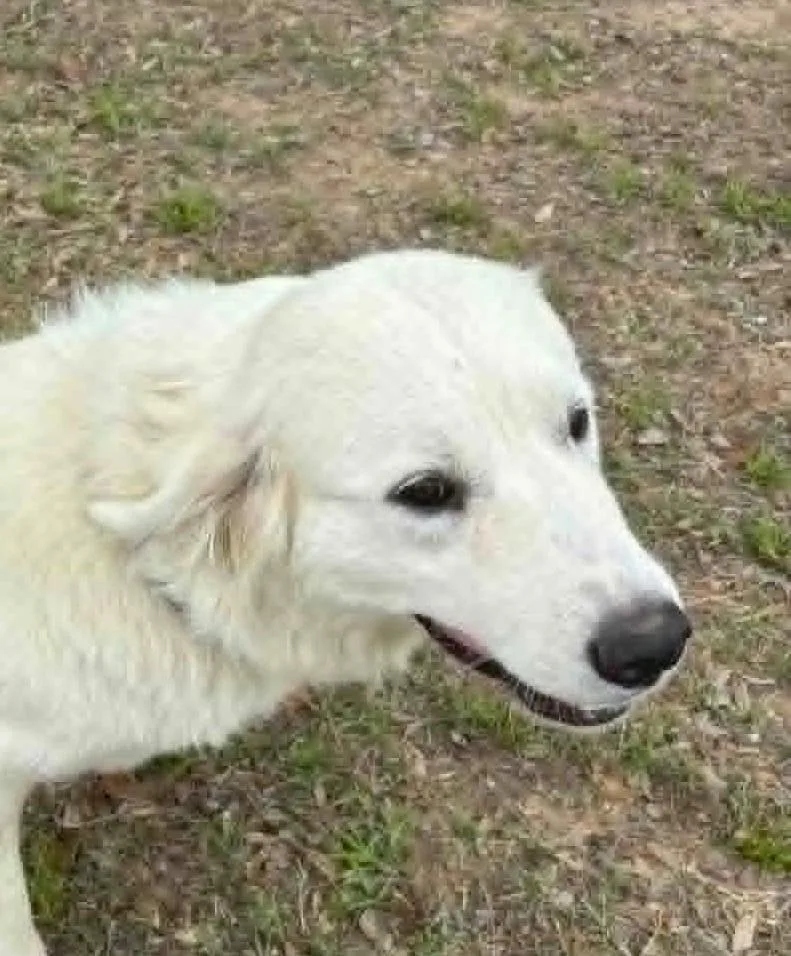 Delilah Sat