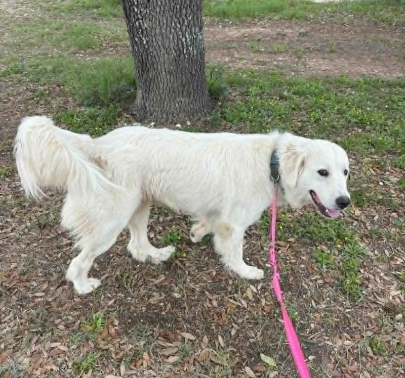 Delilah Sat thumbnail 5