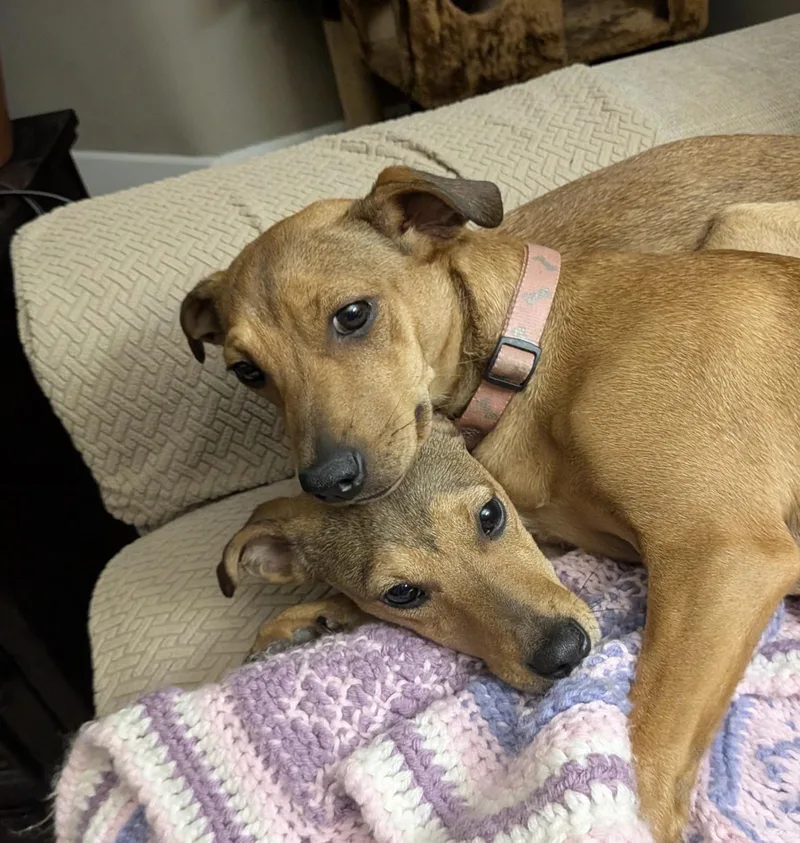 Carly & Yuki