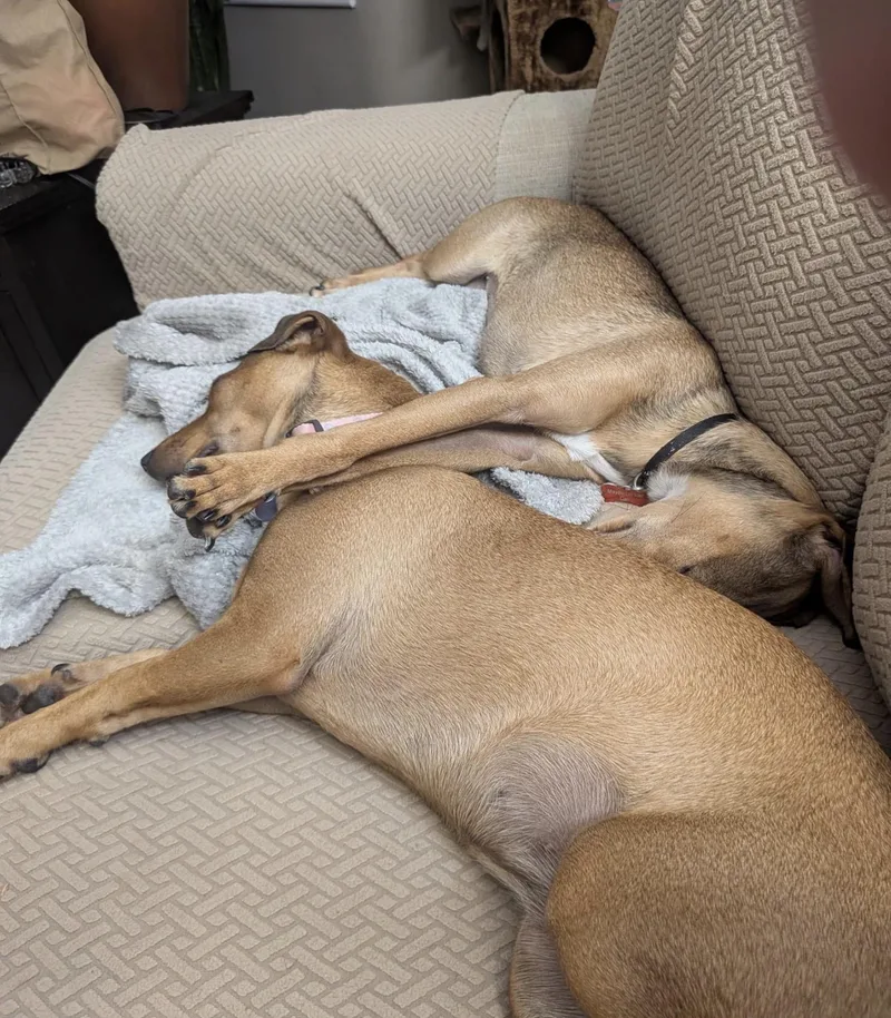 Carly & Yuki thumbnail 4