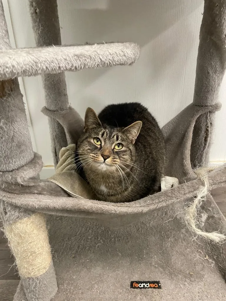 Wrendolyn thumbnail 3