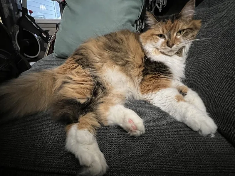 Daisy Mae