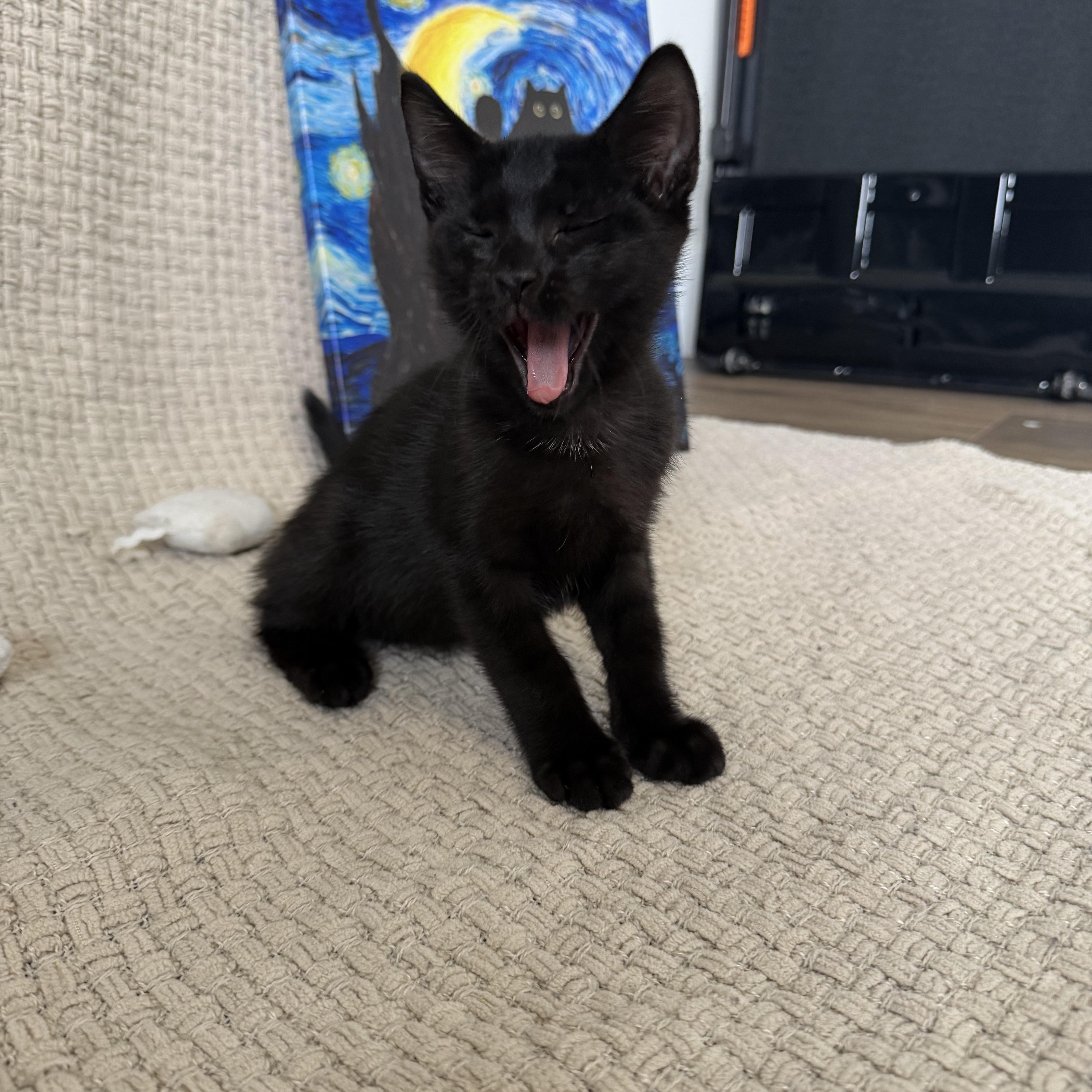 Binx