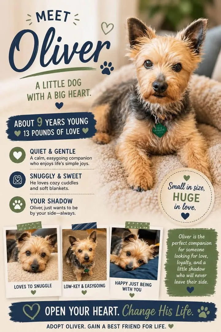 Oliver thumbnail 3