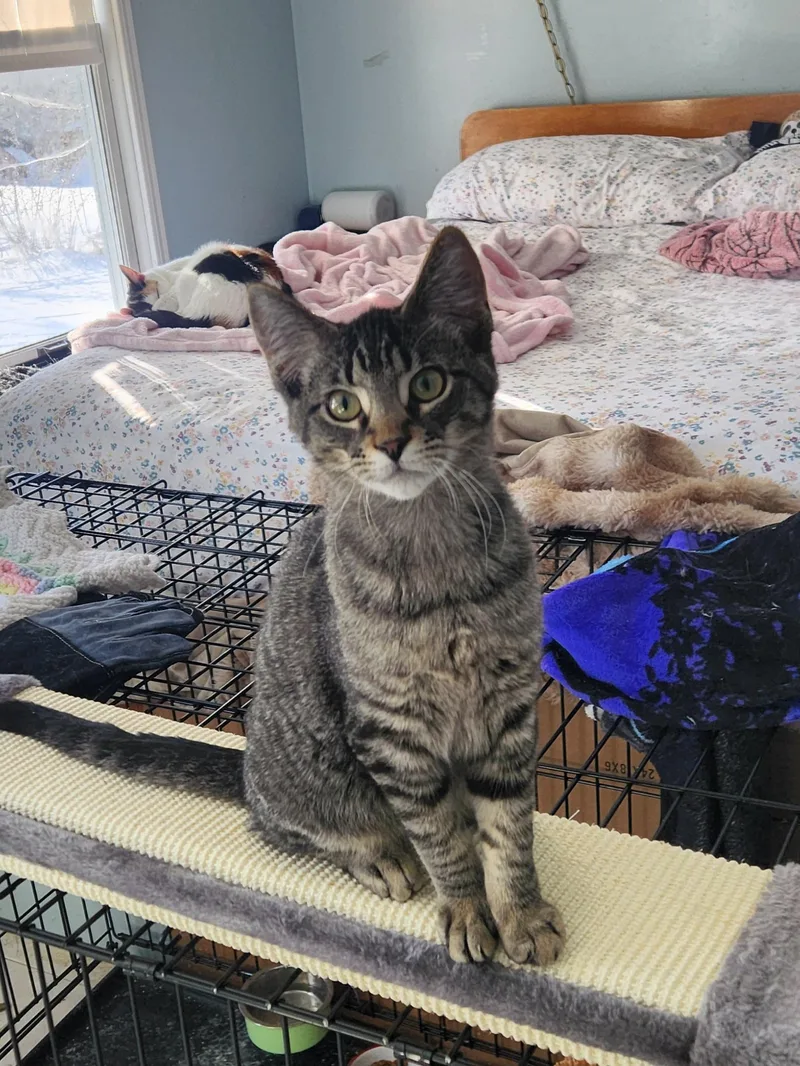 Jimi Hendrix  Bonded