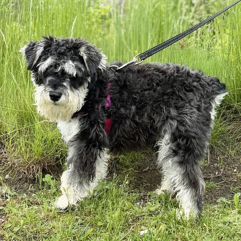Salt thumbnail 6