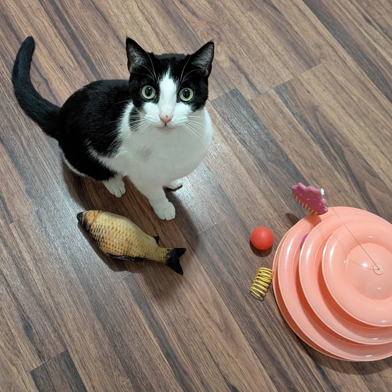 Bug Cuddlequeen thumbnail 2