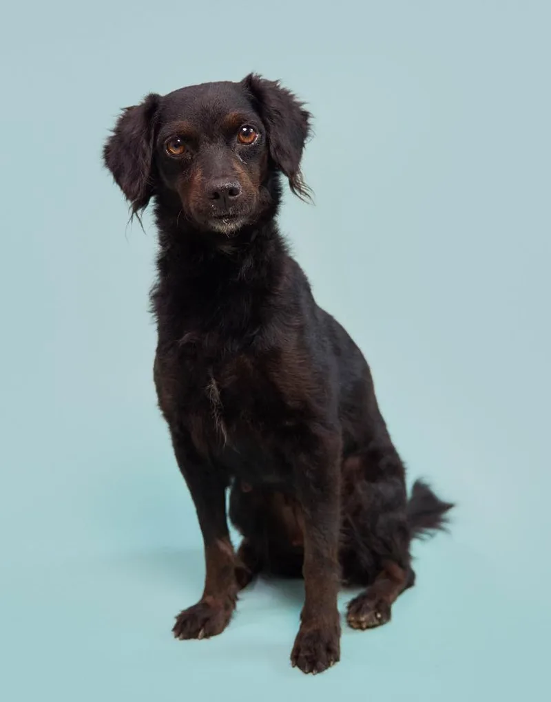 Kombangwa thumbnail 3