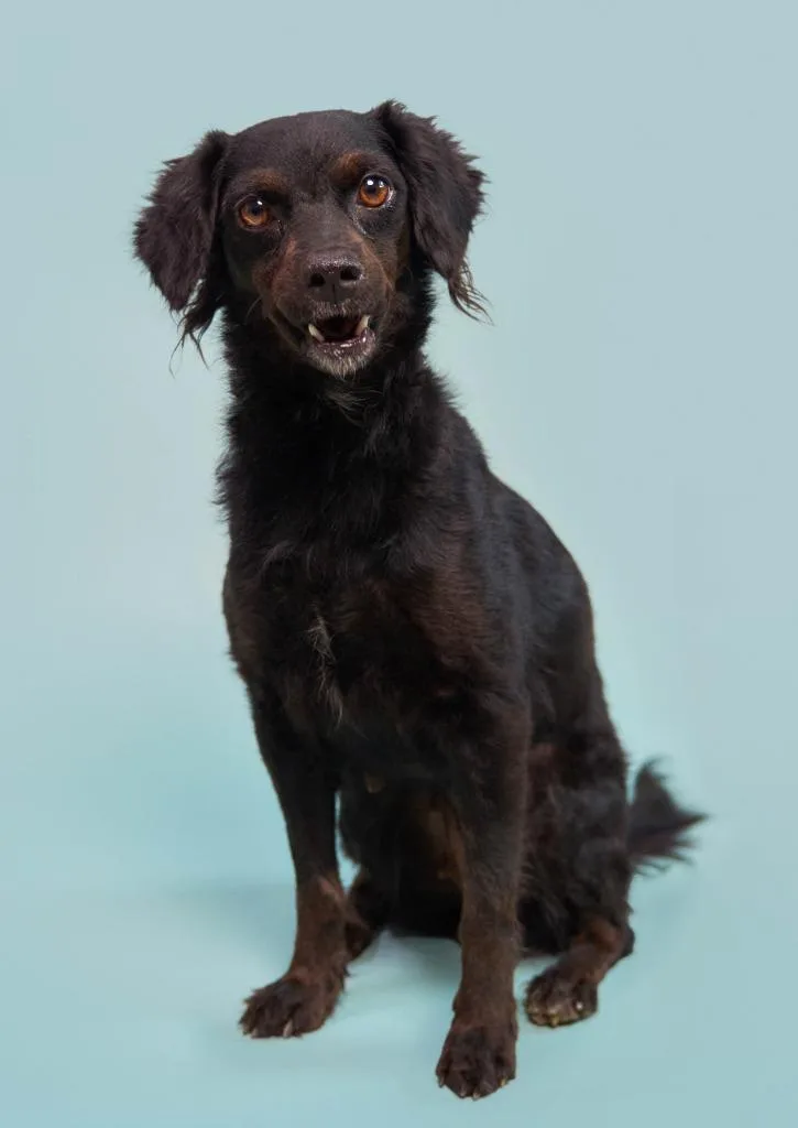 Kombangwa thumbnail 5