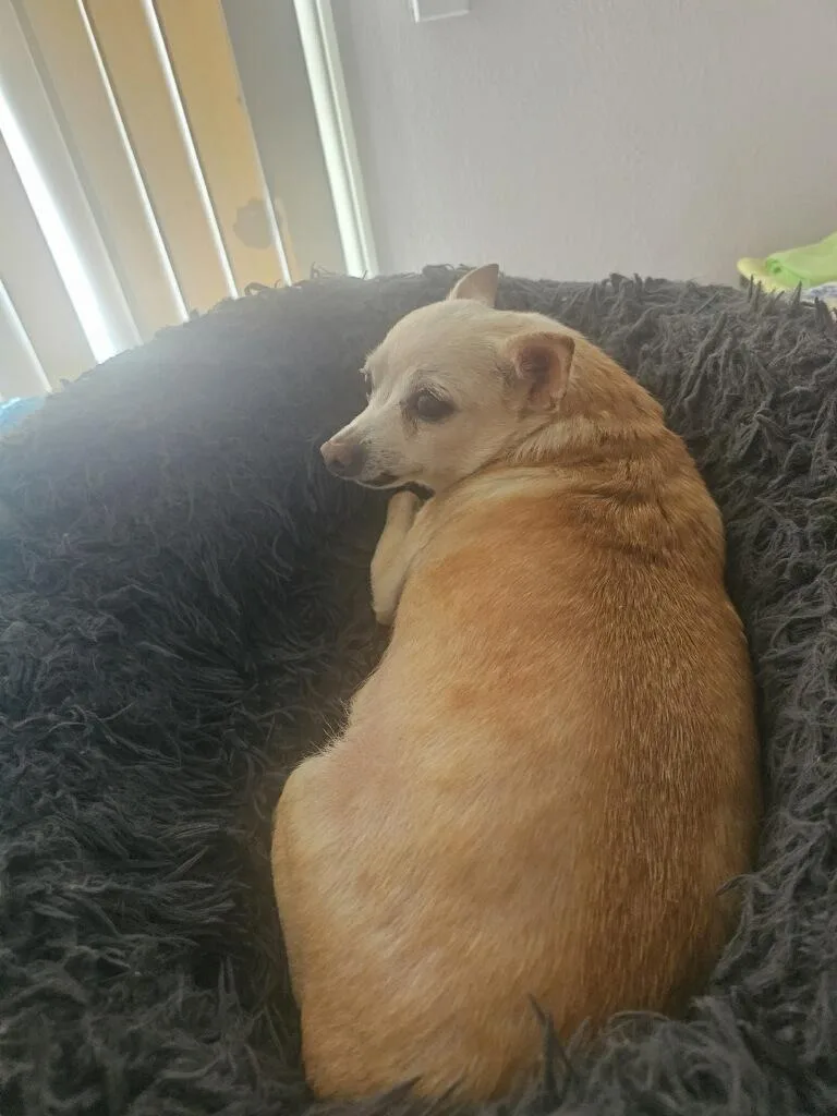 Precious thumbnail 2