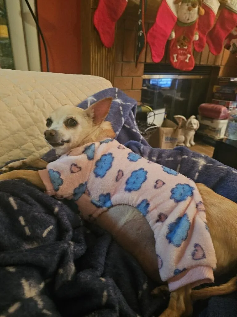 Precious thumbnail 3