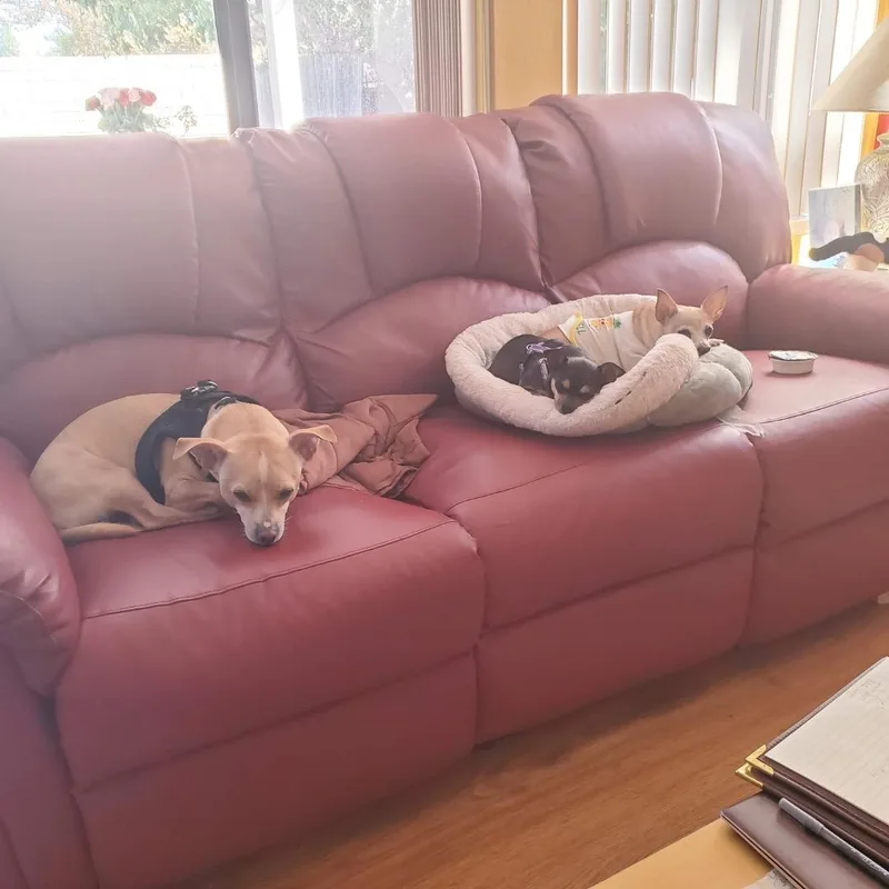 Precious thumbnail 5