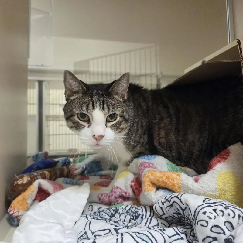 Jakey thumbnail 3