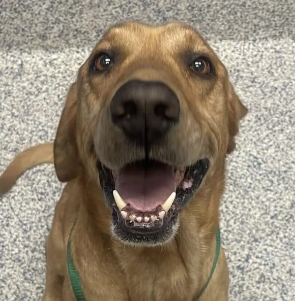 Jeter