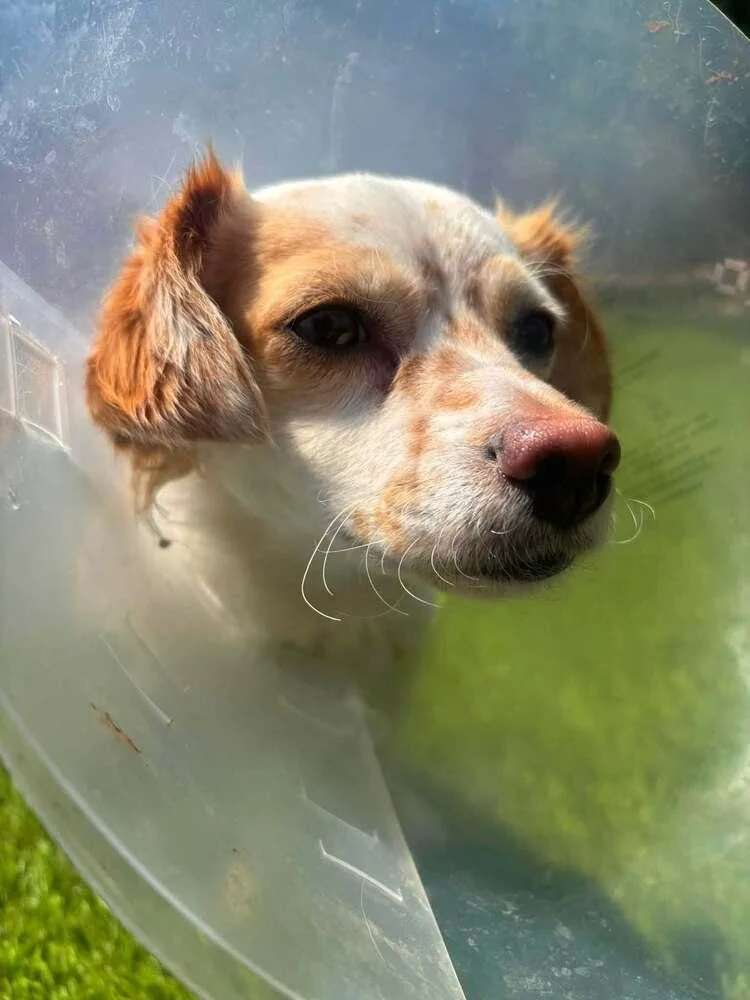 Mila thumbnail 5