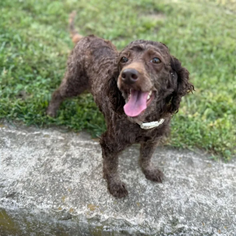 Maggie thumbnail 3