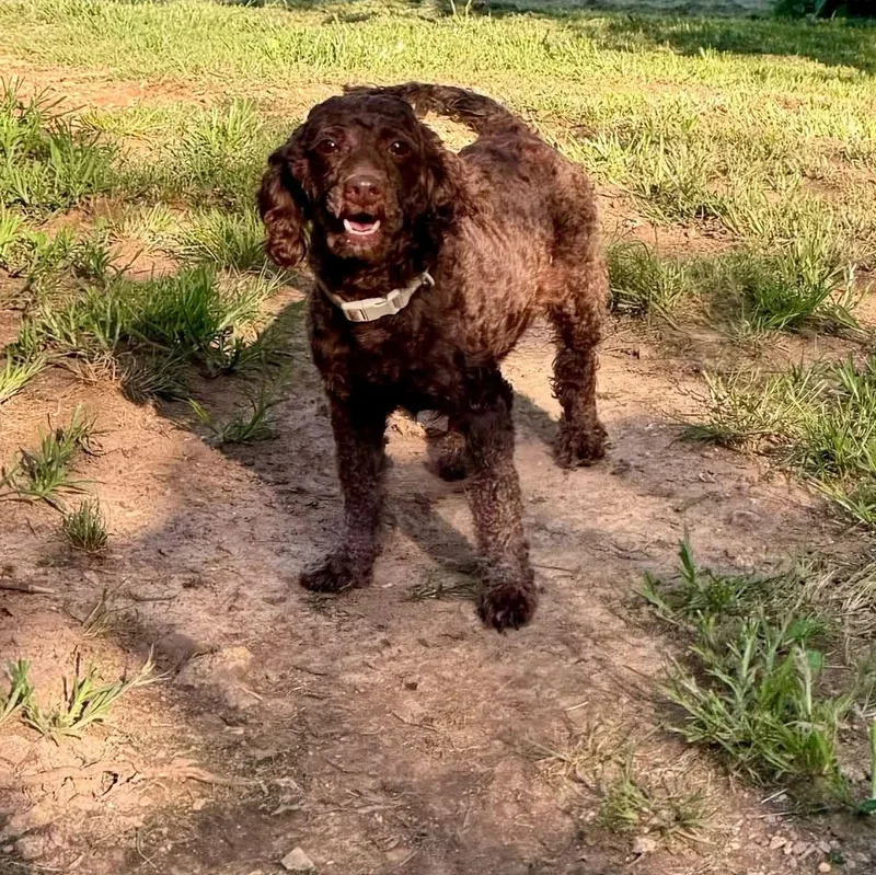 Maggie thumbnail 5