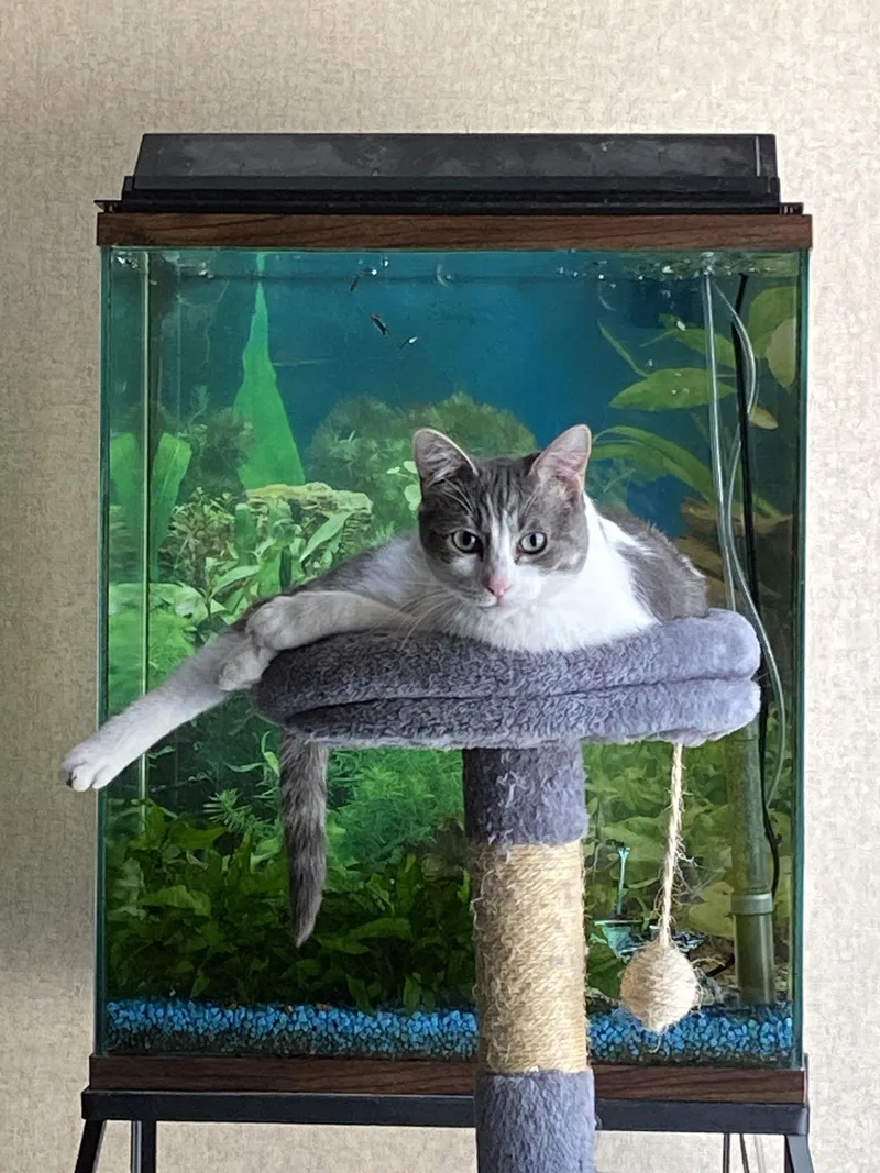 Mary Lou thumbnail 3