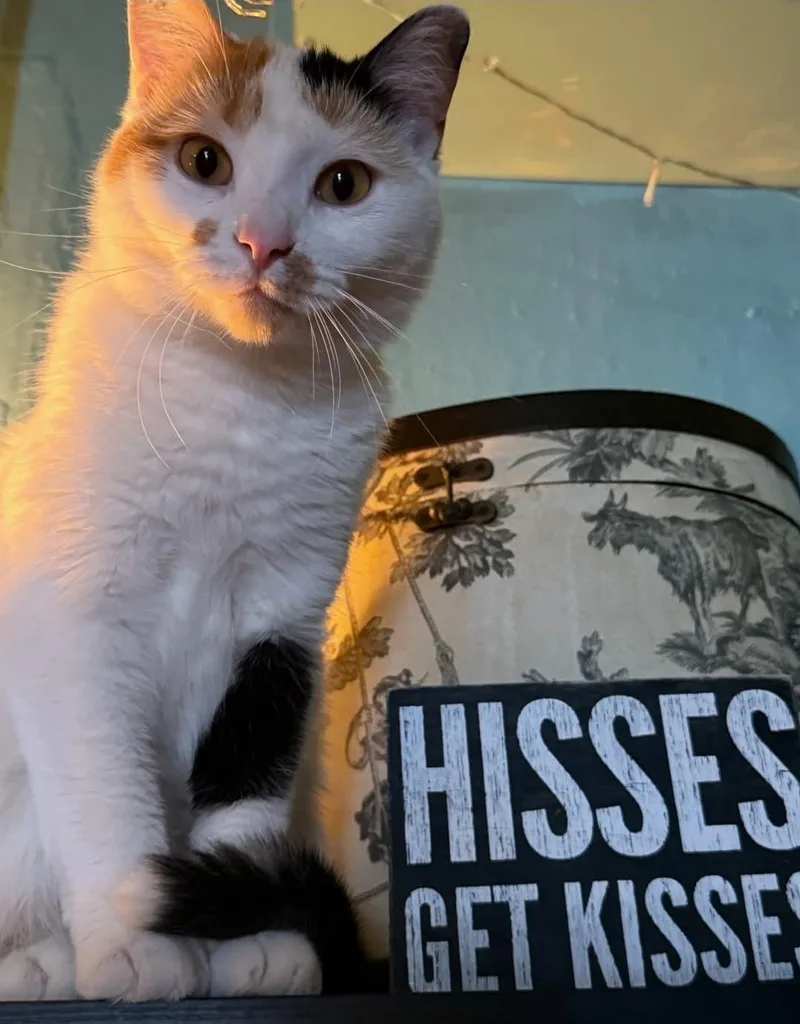 Carmelita thumbnail 3