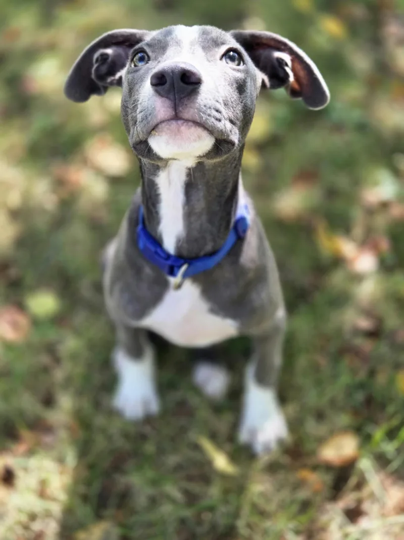 Jack