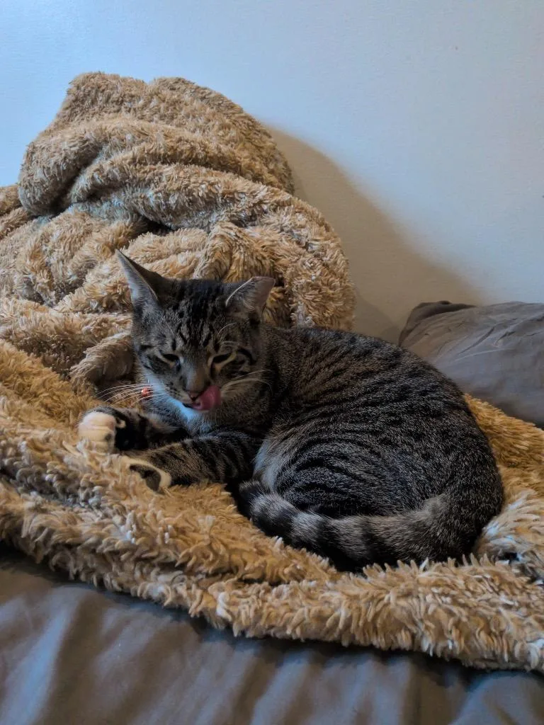 Leo
