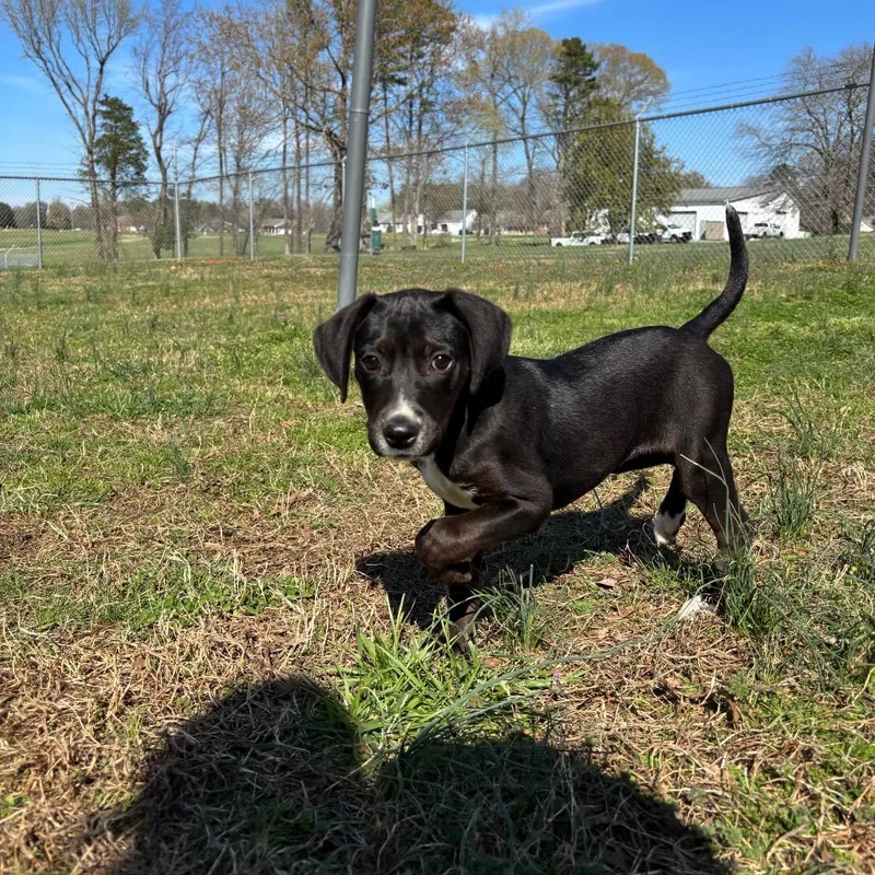 Penny Winnie thumbnail 2