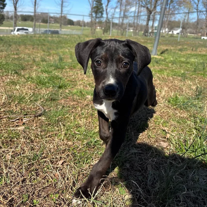 Penny Winnie thumbnail 5