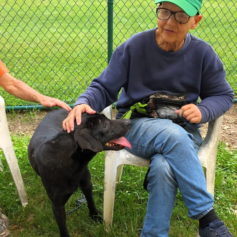 Mijo thumbnail 6