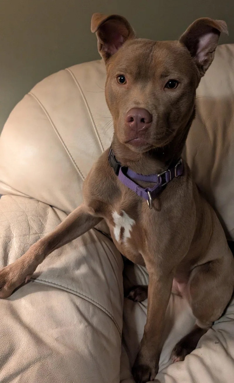 Maisy thumbnail 2