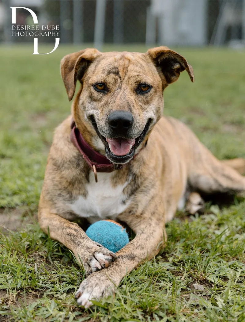 Winifred "winnie" thumbnail 2