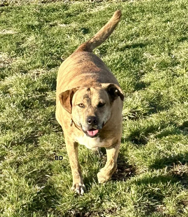 Winifred "winnie" thumbnail 3