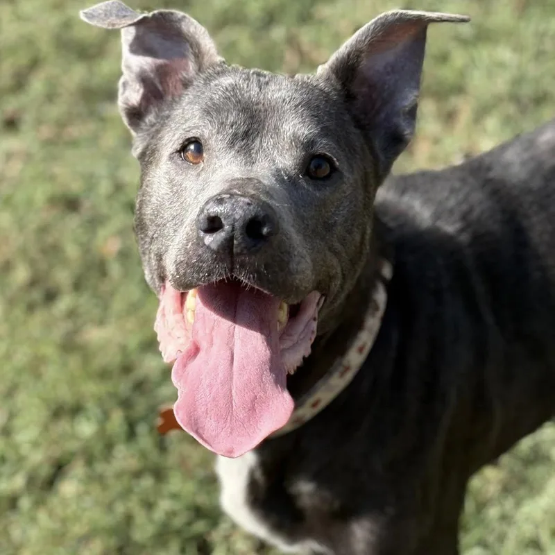 Ella Mae thumbnail 2