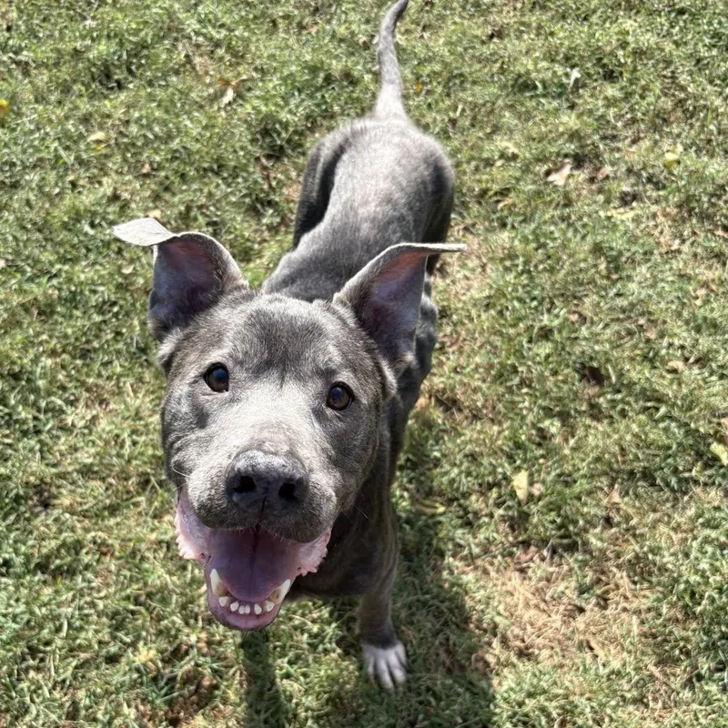 Ella Mae thumbnail 3