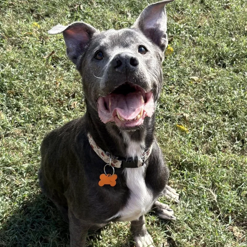 Ella Mae thumbnail 4