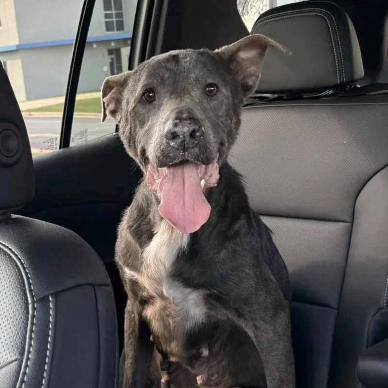 Ella Mae thumbnail 5