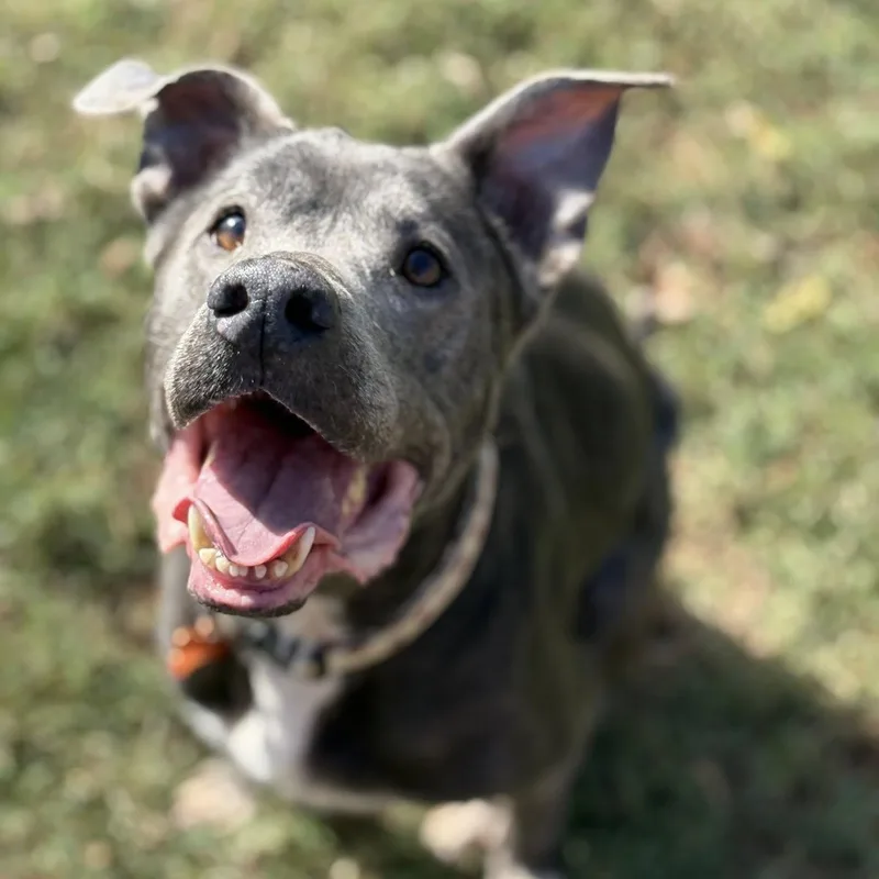 Ella Mae thumbnail 6