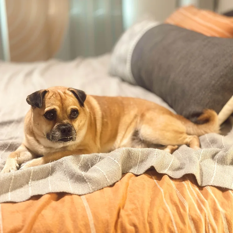 Conway Twitty thumbnail 3