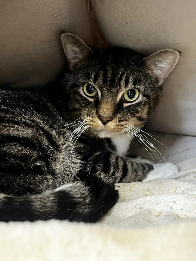 Zachiepoo thumbnail 2