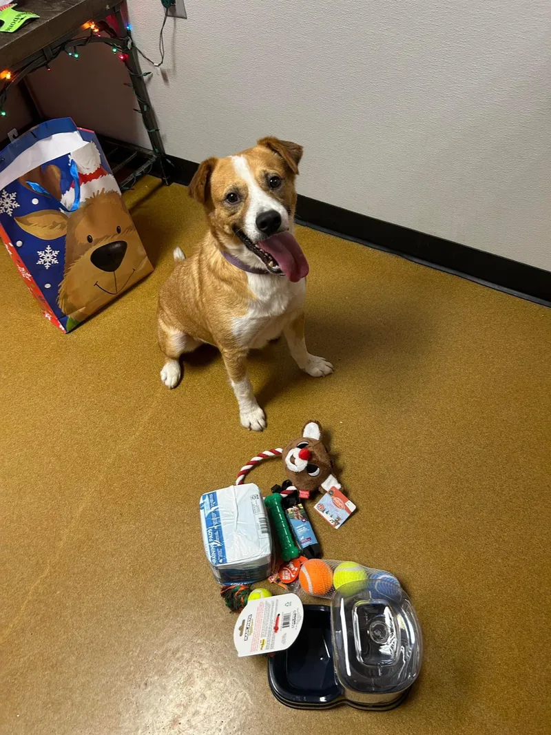 Captain Pike thumbnail 2