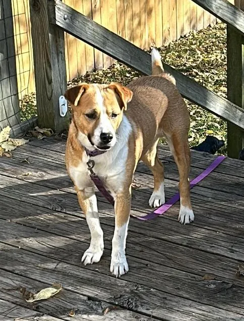 Captain Pike thumbnail 3