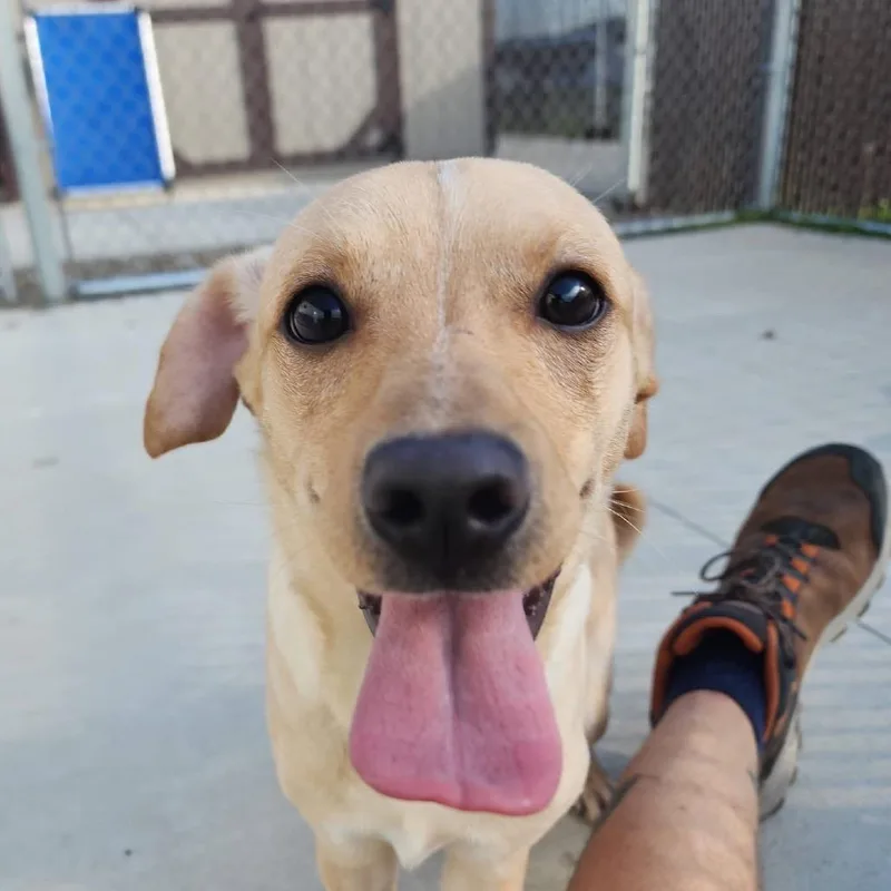 Milo
