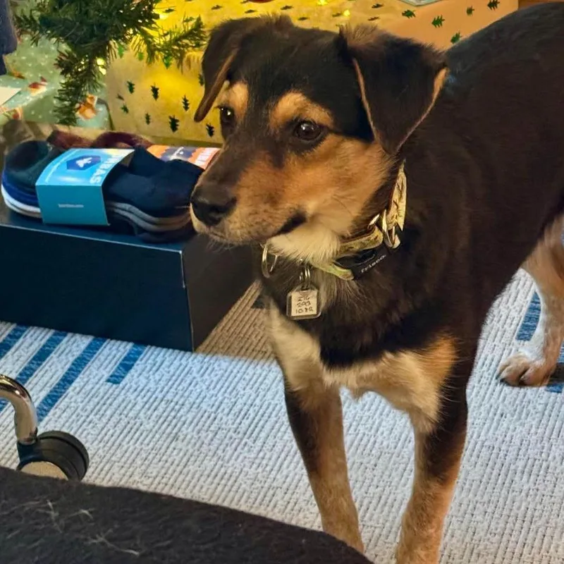 Sarah Lake thumbnail 2