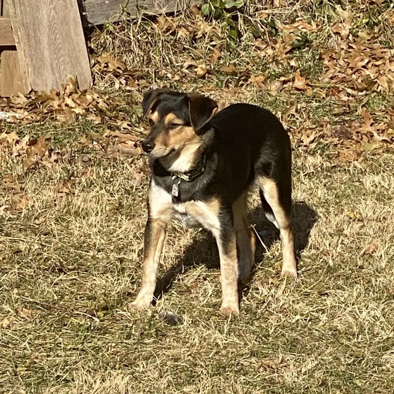 Sarah Lake thumbnail 3